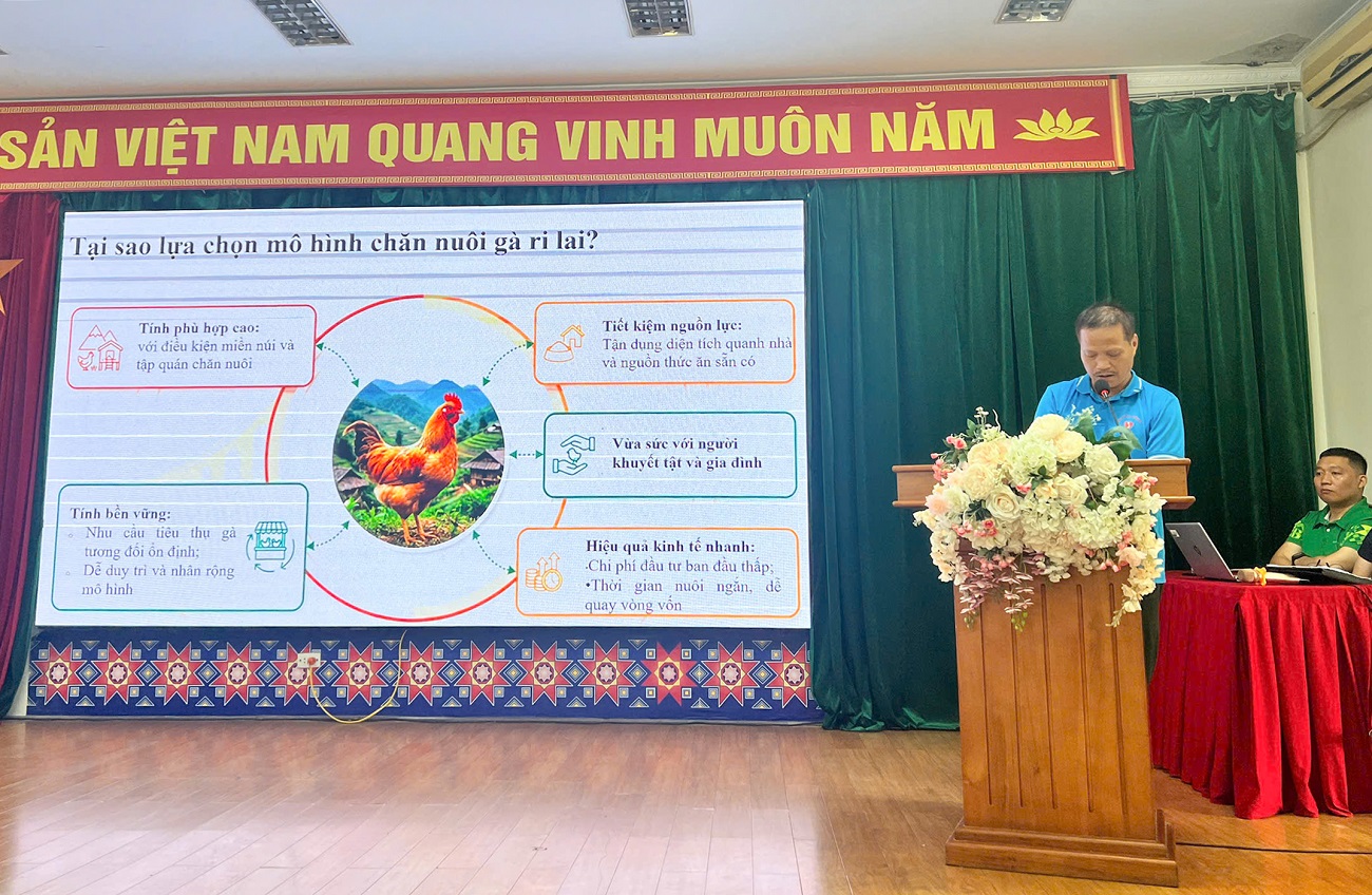 Hội thảo tổng kết dự án 